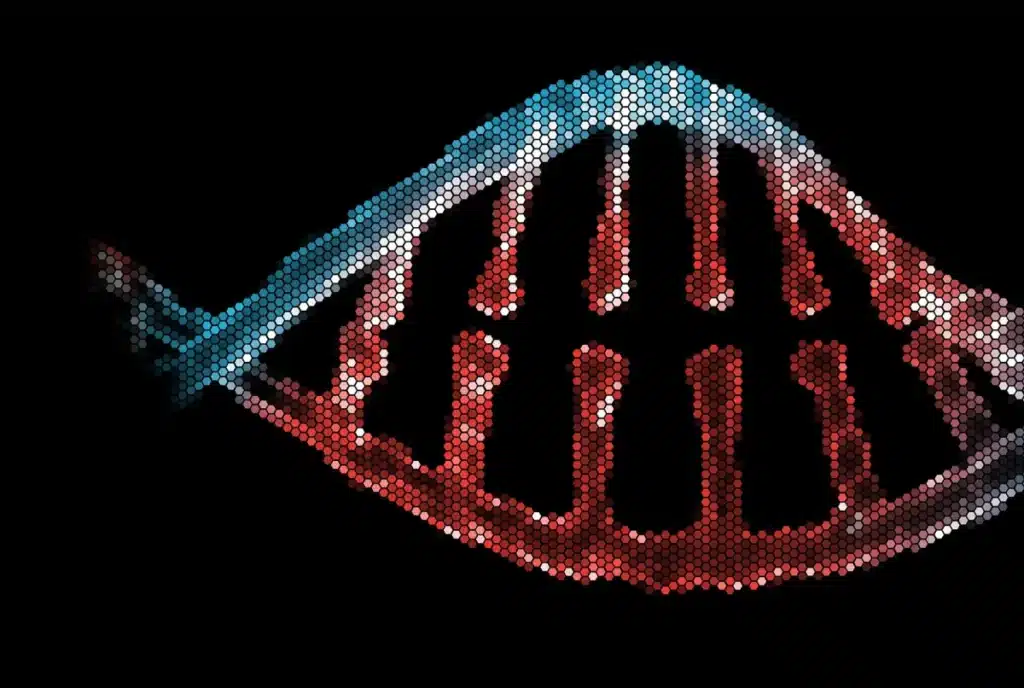 Digital DNA
