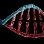 Digital DNA