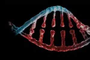 Digital DNA
