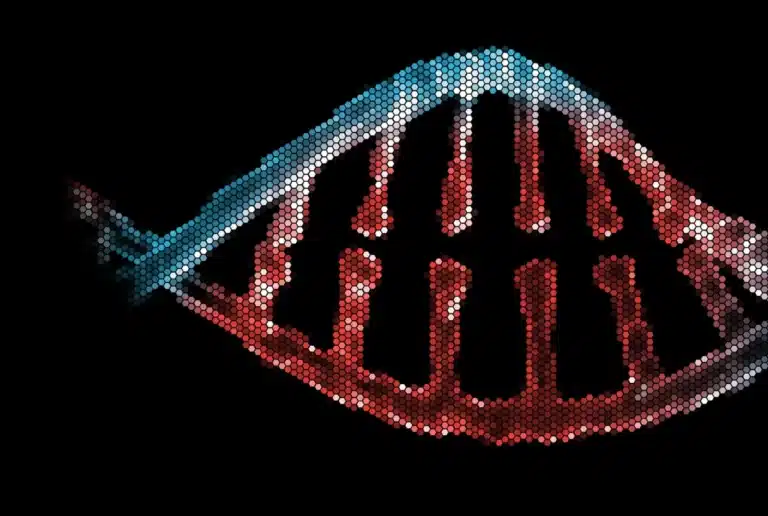 Digital DNA
